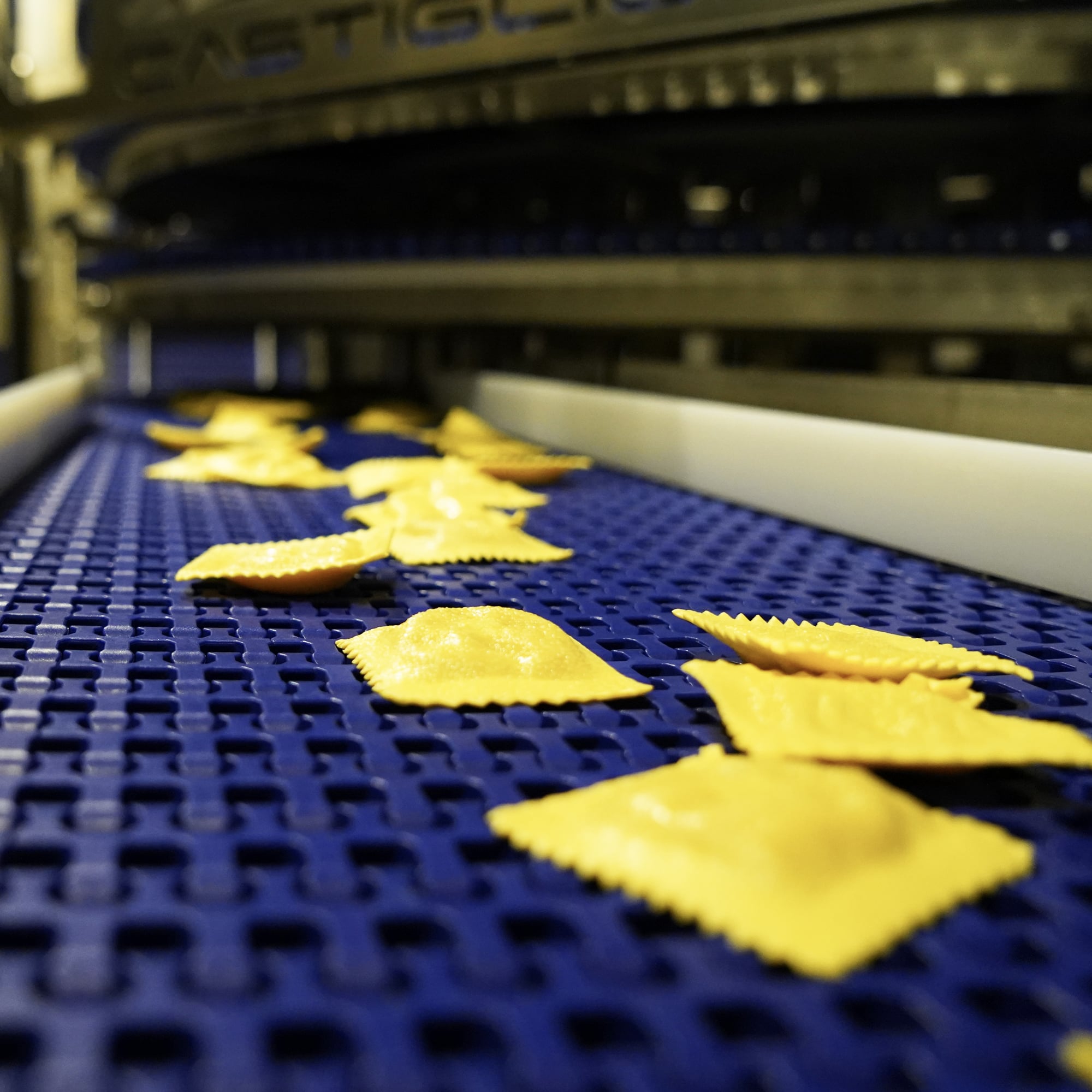 fresh-pasta-production-line