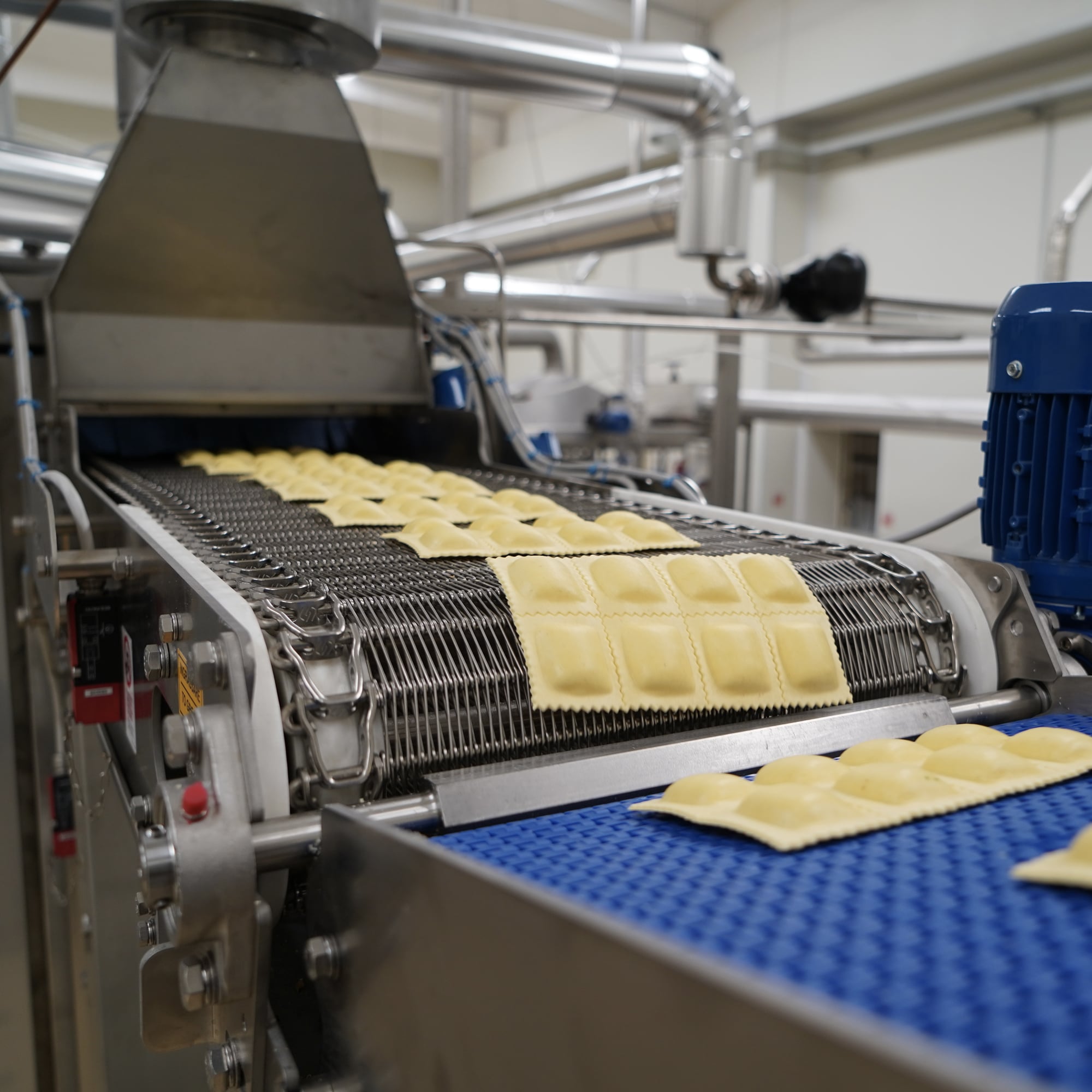 pasta-pasteurizers